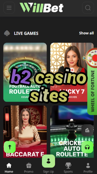 B2 Casino Sites - Best Business-to-Consumer Casinos-777casinobus.ydblkf.net